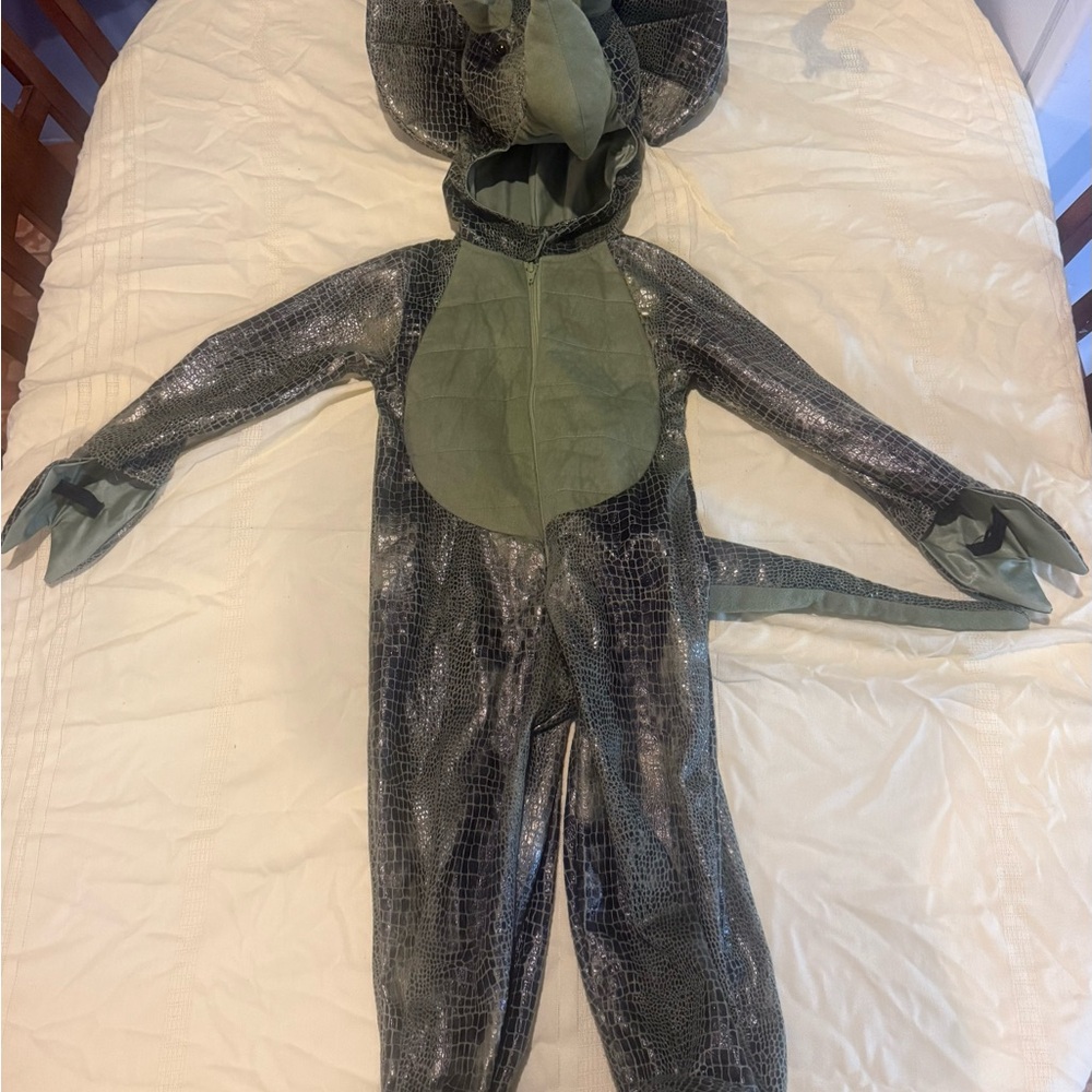 Kids Dinosaur Costume - 5T Green
